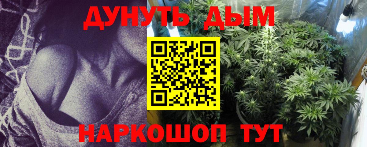 МАРИХУАНА ГИДРОПОН Минеральные Воды
